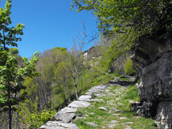 Refuge du Bugone (1110 m) - Moltrasio | Excursion de Moltrasio au refuge du Bugone