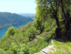 Via ai Monti di Lenno (1085 m) - Moltrasio | Excursion de Moltrasio au refuge du Bugone
