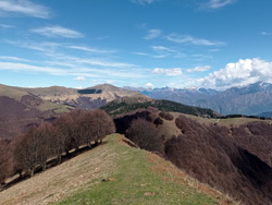 Costone di Pigra (1430 m) | Excursion de Pigra à Monte Costone