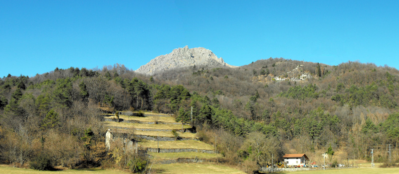 Excursion de Menaggio au chêne de Rogolone