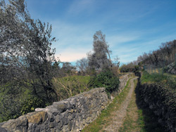 Abbadia Lariana - Sentiero del Viandante