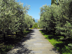 L'abbaye cistercienne de Piona - Lac de Côme