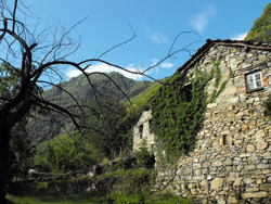 Giumanell (327 m) - Brienno | De Brienno au Pian d'Erba et au Monte Comana