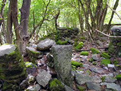 Ruines de Pra de la Curt (985 m) - Brienno | De Brienno au Pian d'Erba et au Monte Comana