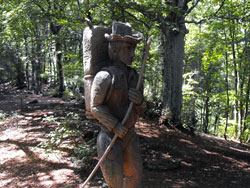 Sentier des Expressions (1110 m) | De Brienno au Pian d'Erba et au Monte Comana