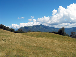 Pian d'Erba (1150 m) - Brienno | De Brienno au Pian d'Erba et au Monte Comana