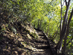 Le château de Baradello - Parc Spina Verde à Côme