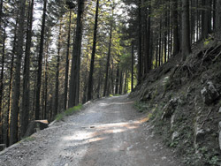 Dorsale du Triangolo Lariano - Via alle Colme (1020 m.)