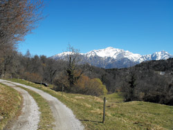 Dorsale du Triangolo Lariano - Rovenza (725 m.)