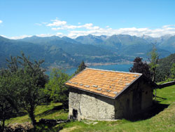 Monte Alto (755 m) - Cangiago | De Dervio à Camaggiore