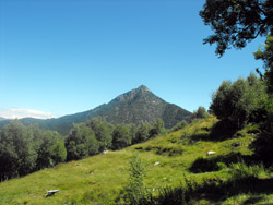 Alpe di Pratolungo (1025 m) | De Dervio à Camaggiore