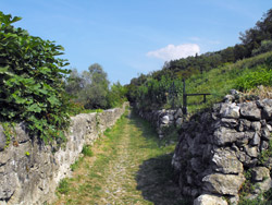 Via del Viandante (260 m) - Borbino | Excursion à la cascade du Cenghen