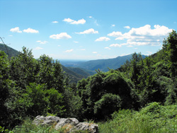 Sentier n.1 (950 m) | Excursion de Gajum à la Corne centrale de Canzo