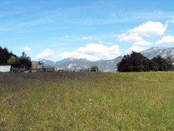 Chevrio (575 m) - Bellagio | De Limonta au Belvédère de Makallé