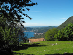 Monte di Liscione (730 m) - Moltrasio | Excursion de Moltrasio au refuge du Bugone