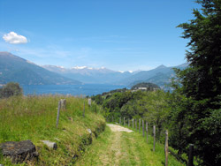 Sentier n.1 (320 m) - Cagnanica | Excursion de Bellagio à Monte Nuvolone