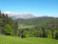 Panorama (810 m) Sentier n.1A | Excursion de Bellagio à Monte Nuvolone
