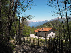 Rovenza - Brogno (645 m) Sentier n.1 | Excursion de Bellagio à Monte Nuvolone