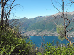 Brogno - Belvédère Nuvolone (890 m) Sentiero n.39 | Excursion de Bellagio à Monte Nuvolone