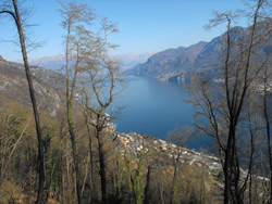 Sentier n.3 (596 m) - Onno | Montée au Monte Megna à partir d'Onno