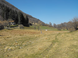 Piana di Crezzo (795 m) - Lasnigo | Montée au Monte Megna à partir d'Onno