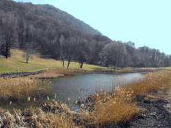 Lac de Crezzo (800 m) - Lasnigo | Montée au Monte Megna à partir d'Onno