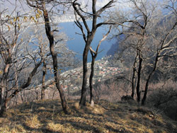 Sentier n.1 (545 m) - Via Darniga | Montée au Monte Megna à partir d'Onno