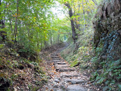 Sentier 1 (410 m) | Randonnée dans le parc de Spina Verde