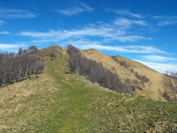 Bocchetta di Pigra (1325 m) | Excursion de Pigra à Monte Costone