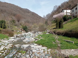 Le parc Alpini (430 m) - Caslino d'Erba | Excursion de Caslino d'Erba au Rezzago