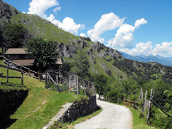La route pastorale (Croda - Monti di Labbio) | De Dongo au Sasso di Musso