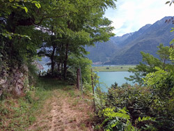 Sentier vers Dascio (245 m) | Excursion de Sorico au temple de San Fedelino