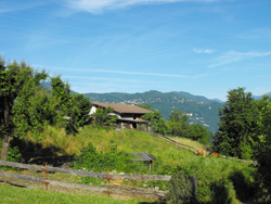 Vignasca (360 m) - Mandello del Lario | Excursion circulaire d’Olcio à Zucco Sileggio