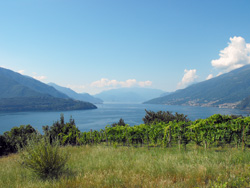 Pozzolo (340 m) - Domaso | Chemin de Gravedona à Gera Lario