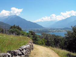 Trezzone (390 m) | Chemin de Gravedona à Gera Lario