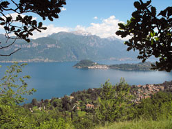 Griante - Cadenabbia | Lac de Côme