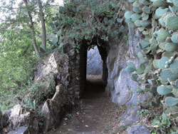 Le Giardino del Merlo (jardin du Merle) - Musso