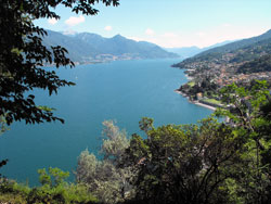 Le Giardino del Merlo (jardin du Merle) - Musso