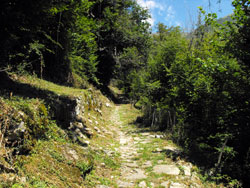 Chemin de l'Abbaye (515 m) - Tremezzina | Excursion de Lenno à Val Perlana