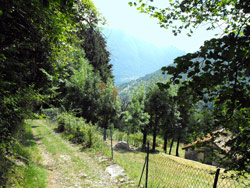Via San Benedetto (730 m) - Tremezzina | Excursion de Lenno à Val Perlana