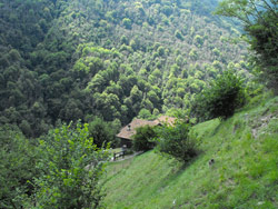 Via San Benedetto (520 m) - Tremezzina | Excursion de Lenno à Val Perlana