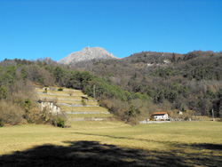 Piamuro (370 m) - Menaggio | De Menaggio au chêne du Rogolone