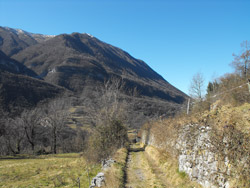 Via alla Santa (450 m) - Grandola ed Uniti | De Menaggio au chêne du Rogolone