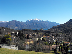 Codogna (450 m) - Grandola ed Uniti | De Menaggio au chêne du Rogolone