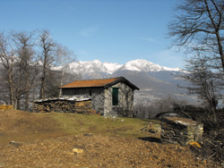 Sentier n.7 (352 m) - Olgiasca | Excursion de la péninsule de Piona