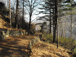 Sentier n.7 (220 m) - Olgiasca | Excursion de la péninsule de Piona