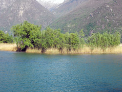 Pian di Spagna - Lac de Côme