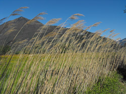 Pian di Spagna - Lac de Côme