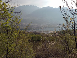 Sentier de Mezzo (406 m) - Galbiate | Randonnée de Malgrate au Mont Barro