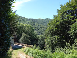Cassinello (925 m) - Faggeto Lario | Randonnée de Molina au Mont Bolettone